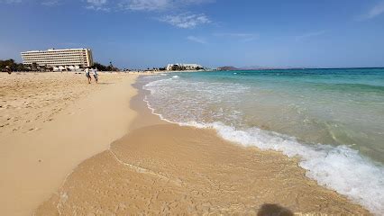 playas gay fuerteventura|Descubre Fuerteventura, el paraíso gay